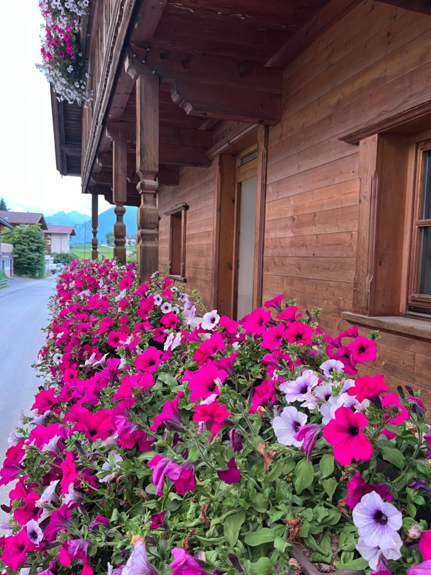 Ferienwohnung Seppen Reith im Alpbachtal Ngoại thất bức ảnh